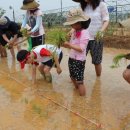 가좌농장 이미지