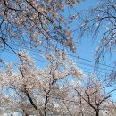 배산목욕탕 이미지