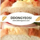 똥여시 디자인/인쇄