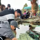 스타피시존 | 초등 아이와 함께한 미국 캘리포니아 여행_샌디에이고 씨월드 꼭 봐야 할 것, 음식 정보 및 추천 동선...