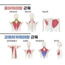 위위필라테스 이미지