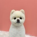 댕댕토피아 이미지