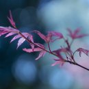 강서구-68 이미지