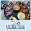 황금 소두마리