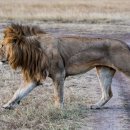 힐링스케치 이미지