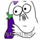 아트펫 이미지