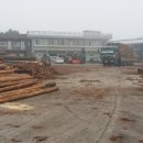 혜원목재