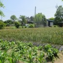 정읍태인우체국 이미지