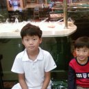 갈마초교병설 이미지