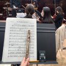 청소년 협연 일취월장 | 부산 학생 청소년 오케스트라 입단 오디션 레슨받기