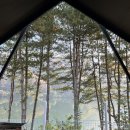 매너짐 | 크리스월드 글램핑 스위트동 내돈내산 솔직 후기 / 방음 안됨, 매너타임 안지켜짐