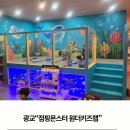 한솔주니어랩영어학원 | 점핑몬스터 원더키즈랩 광교점 재밌는 수업후기 광교유아영어 광교유아영어학원 광교대형키즈카페