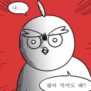 백금당송파