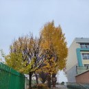 인천소양초 이미지