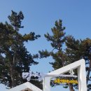 망상리조트(한옥) 이미지