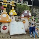 포레스트12 이미지