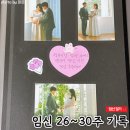 [임신일기] 임신 26~30주 기록, 즐거웠던 태교여행과 30주에 벌써 2.1키로 돌파? (후쿠오카 아카짱혼포...