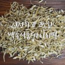 백송식품(주) 티스토리