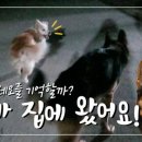 다올ENG