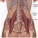 홈리복싱짐 헬스 PT 이미지