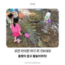 포천 아이와 가볼만한곳 추천! 토일관광농원에서 올챙이 잡고 물놀이까지 즐긴 리얼 후기