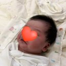 보라매로 | 카리스산후조리원 후기 11-14 (마지막) | 카리스산후조리원추천, 동작구조리원, 카리스산후조리원이벤트...