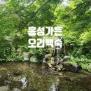 파라다이스여관 - 성동구 왕십리로22길 11-11 | 홍성 백숙 가족외식 갈만한곳 파라다이스 가든 식당