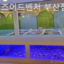 라라키즈어드벤처부산진