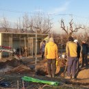 금구농장 이미지