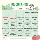 [제주 샐러드/포케 정기배송] ‘가든샐러드’: 매일 신선한 샐러드가 집앞에 -!