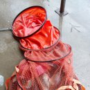 독정낚시터 이미지