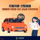 테슬라 모델 Y 레이노 S9 썬팅(틴팅) 시공 - 태백 더발라커스텀 후기