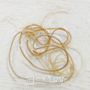 메리알동물병원 이미지