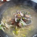 4002 | 대전 둔산동 한일수육칼국수 수육 국수 직장인 점심 추천