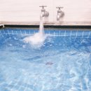 르네상스호텔대중탕 이미지