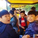 강한친구들태권스쿨 이미지