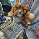 원창고개길 이미지