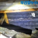 쌍미천로 이미지