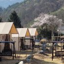 캠핑 포에버 이미지