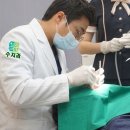 수치과병원 | 구미 사랑니 발치 치과 형곡동 수치과 아래쪽에 매복 숨은 치아