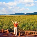 호길농장 이미지