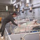 민근농장 이미지