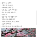 봄이오네 이미지