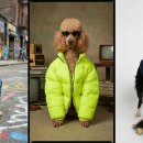 주식회사 마인드셋 이미지