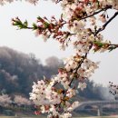 바루지금 이미지