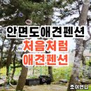 처음처럼 애견펜션 | 안면도애견펜션 삼봉해수욕장에서 가까운 처음처럼애견펜션 후기