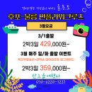 [울릉도] 3월 주중/주말 출발~ 특가행사 / 후포 썬플라워크루즈 2박3일 이미지