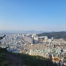 엄광산 나들숲길 이미지