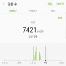 지코바도화점