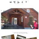 망상오토캠핑리조트 이미지